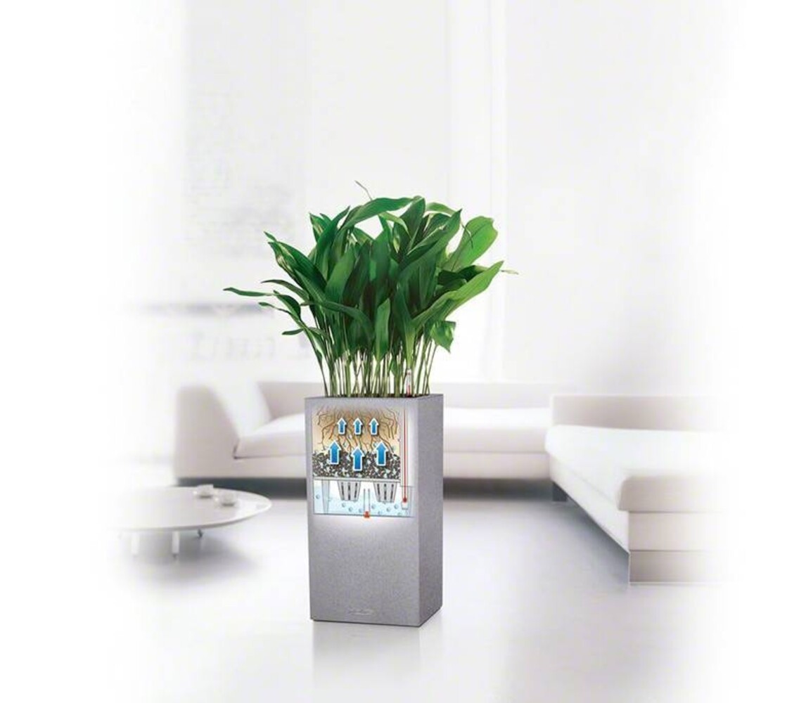 LECHUZA CANTO Stone high graphitschwarz