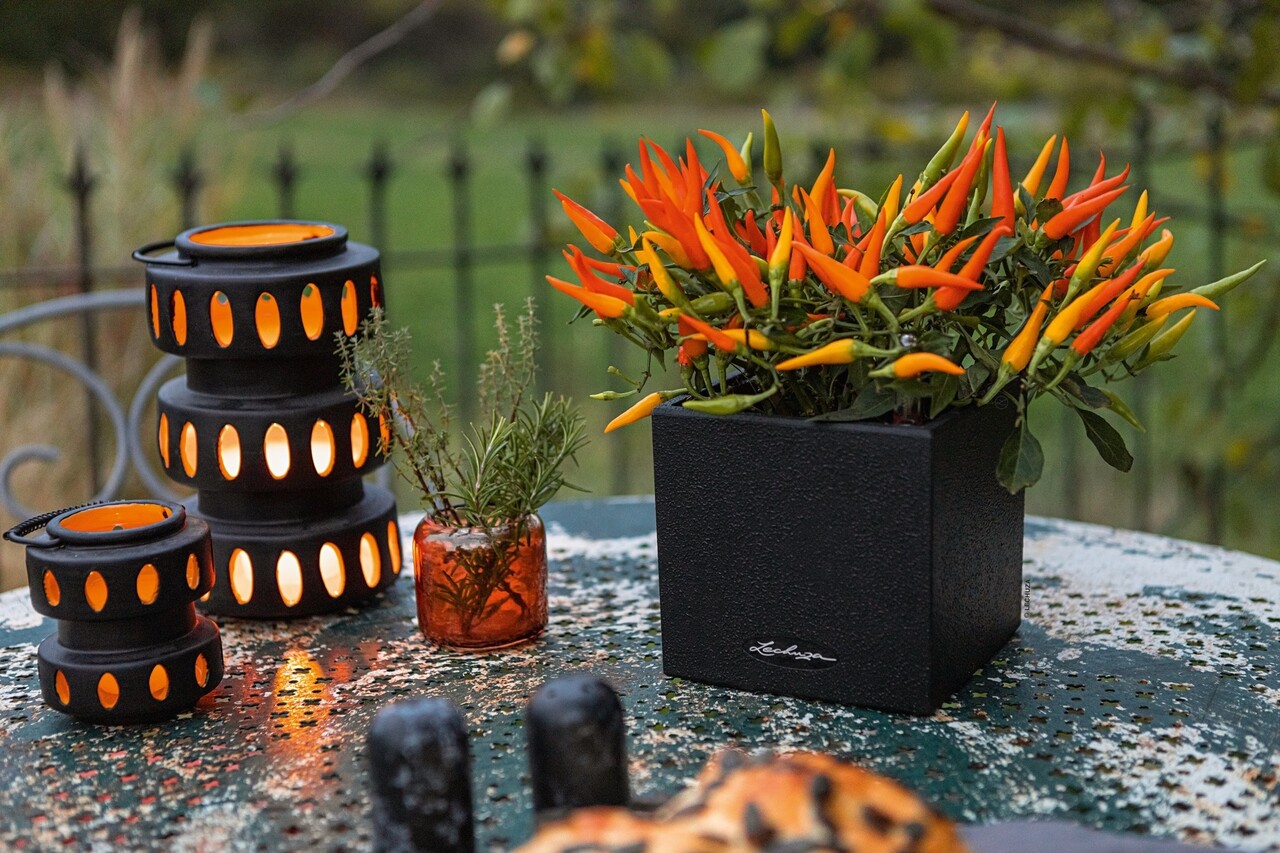 LECHUZA CANTO Stone graphite black