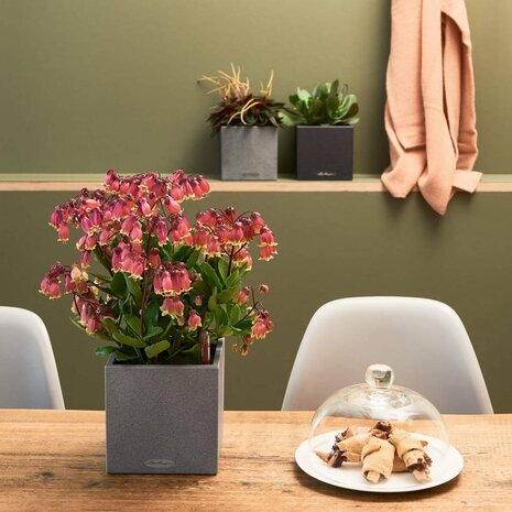 LECHUZA CANTO Stone graphite black