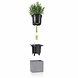 LECHUZA CANTO Stone graphite black LECHUZA CANTO Stone graphite black