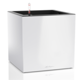 CANTO Premium low blanc brillant CANTO Premium low blanc brillant