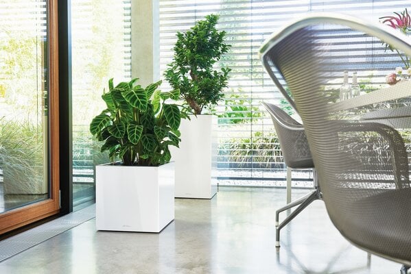 LECHUZA CANTO Premium low blanc brillant LECHUZA CANTO Premium low blanc brillant