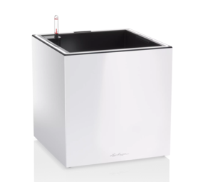 CANTO Premium low LED blanc brillant CANTO Premium low LED blanc brillant