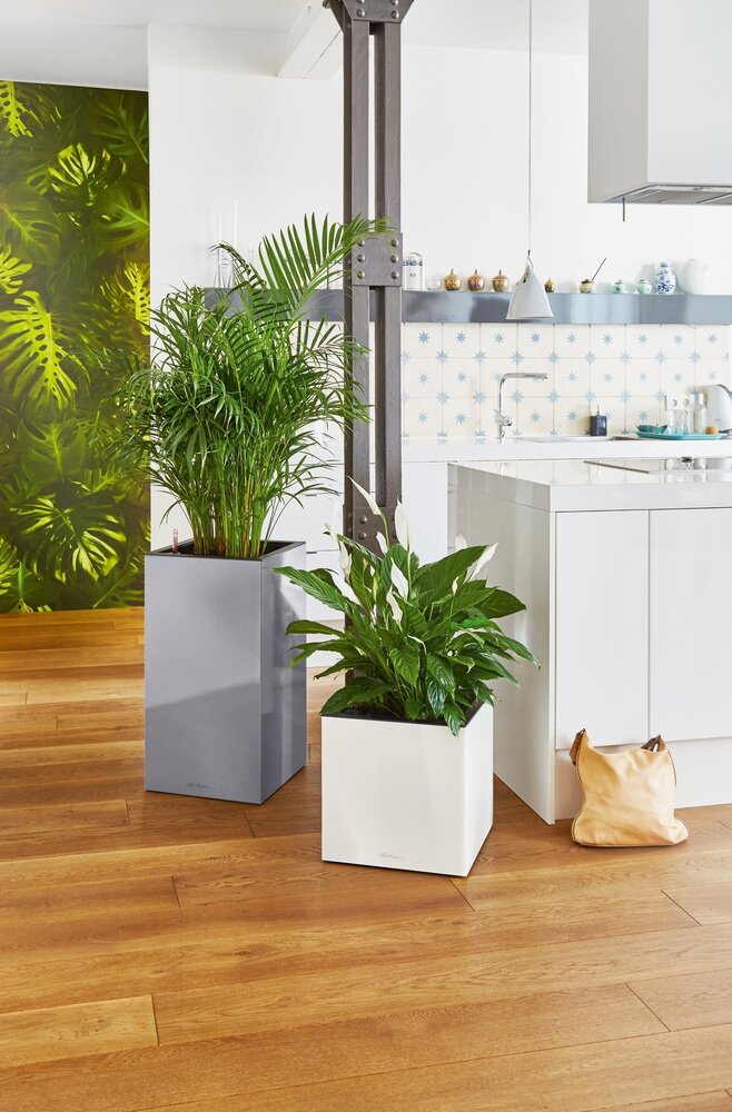 LECHUZA CANTO Premium high silver metallic