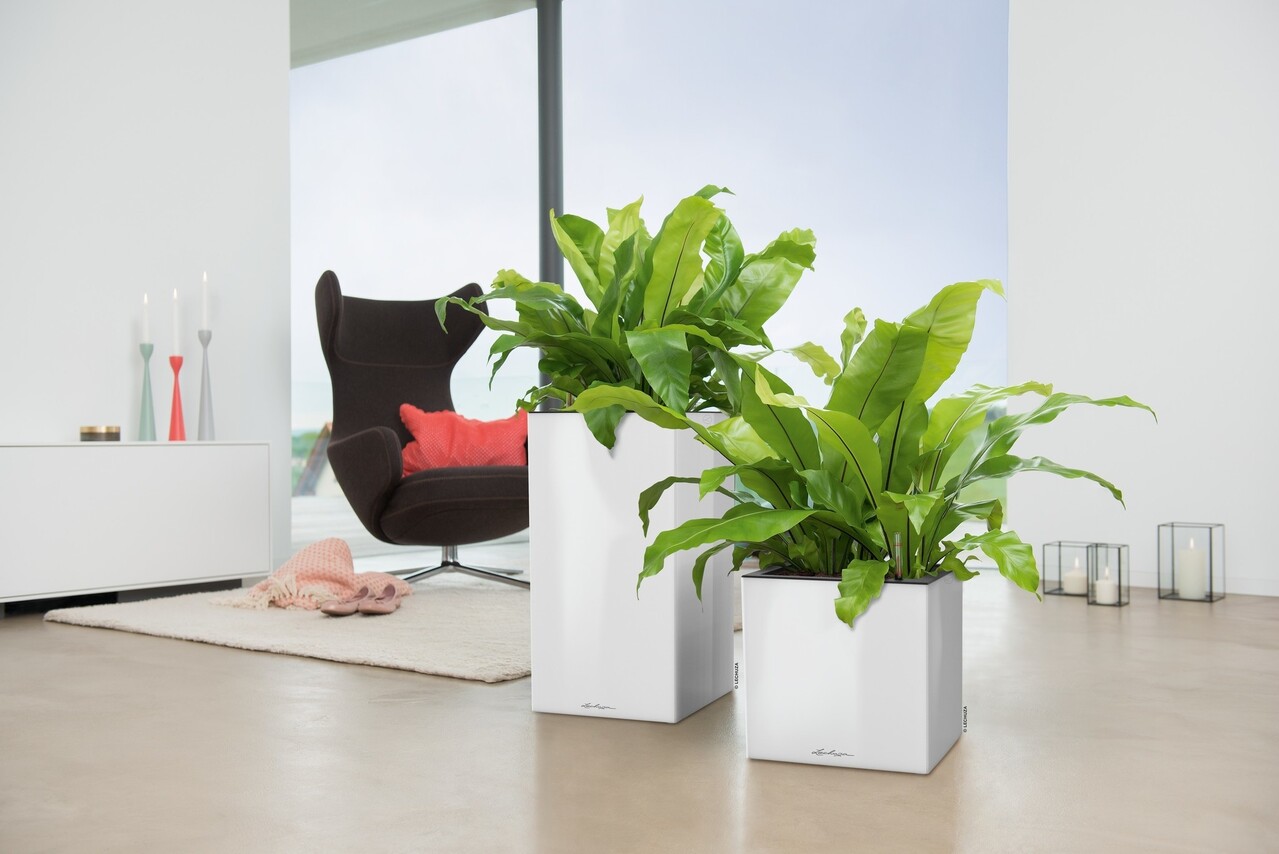 LECHUZA CANTO Premium high white high-gloss LECHUZA CANTO Premium high white high-gloss