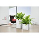 LECHUZA CANTO Premium high white high-gloss LECHUZA CANTO Premium high white high-gloss
