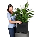 LECHUZA CANTO Premium high LED charcoal metallic LECHUZA CANTO Premium high LED charcoal metallic
