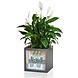 LECHUZA CANTO Premium high LED charcoal metallic LECHUZA CANTO Premium high LED charcoal metallic