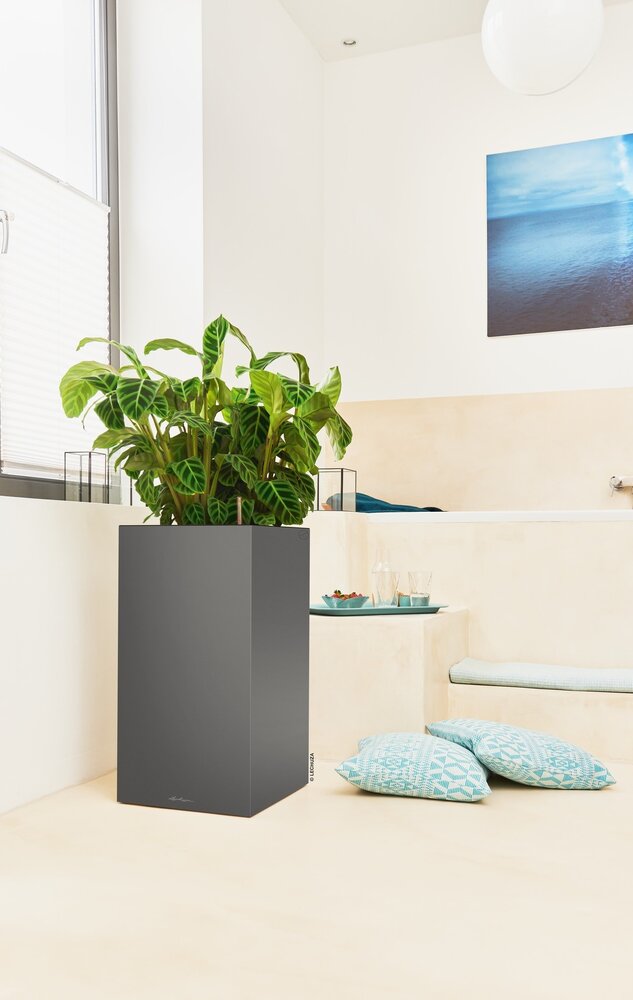 LECHUZA CANTO Premium high anthrazit metallic LECHUZA CANTO Premium high anthrazit metallic