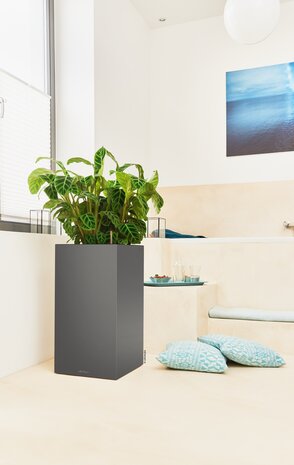 LECHUZA CANTO Premium high charcoal metallic LECHUZA CANTO Premium high charcoal metallic