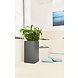 LECHUZA CANTO Premium high charcoal metallic LECHUZA CANTO Premium high charcoal metallic
