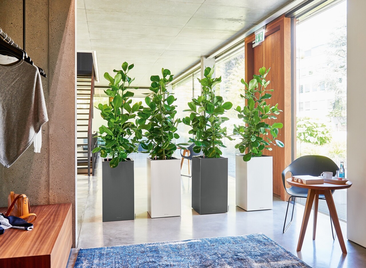 LECHUZA CANTO Premium high charcoal metallic LECHUZA CANTO Premium high charcoal metallic