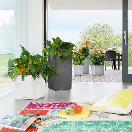 LECHUZA CANTO Premium high anthrazit metallic LECHUZA CANTO Premium high anthrazit metallic