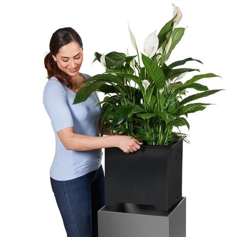 LECHUZA CANTO Premium high anthracite métallisé LECHUZA CANTO Premium high anthracite métallisé