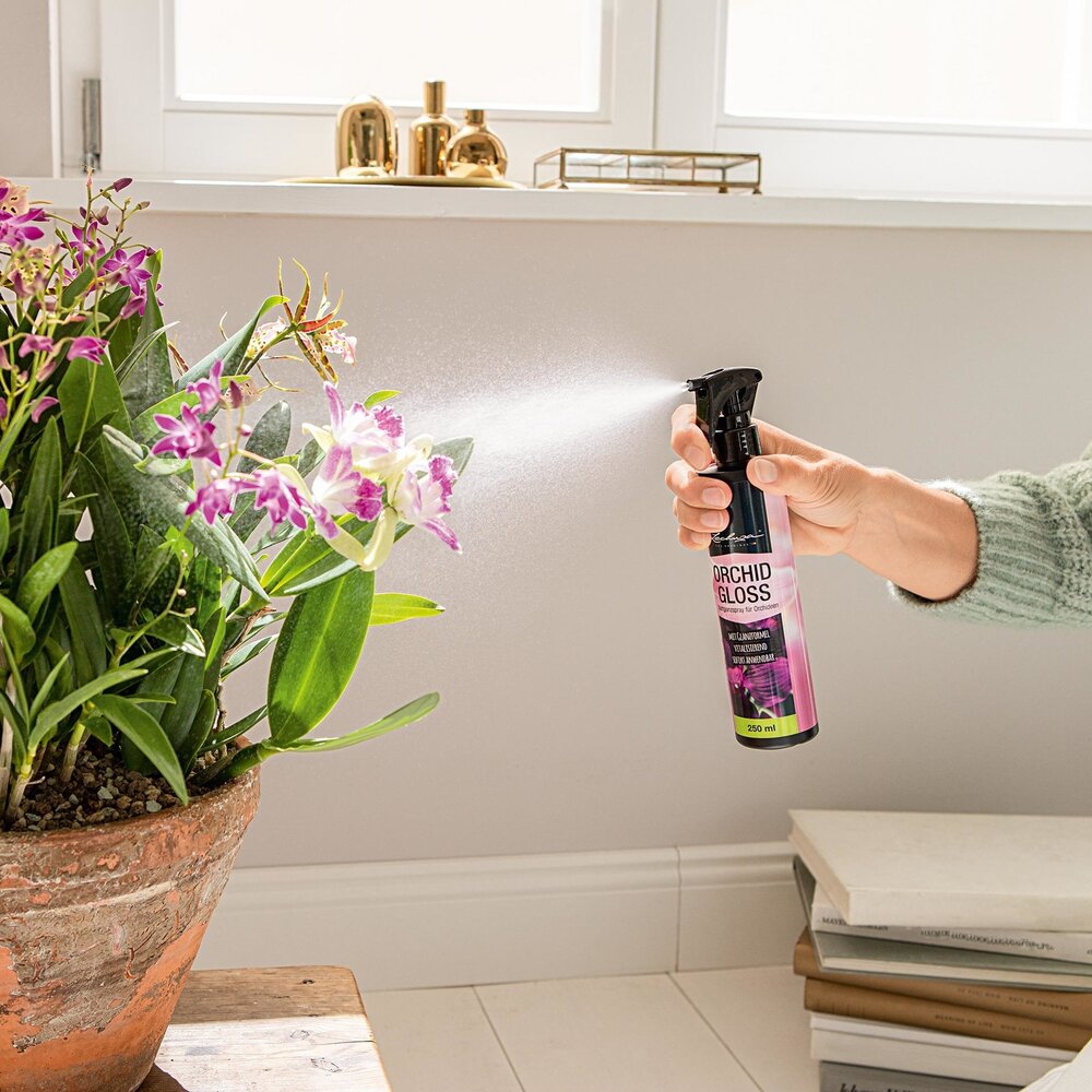 Leaf shine spray ORCHID GLOSS