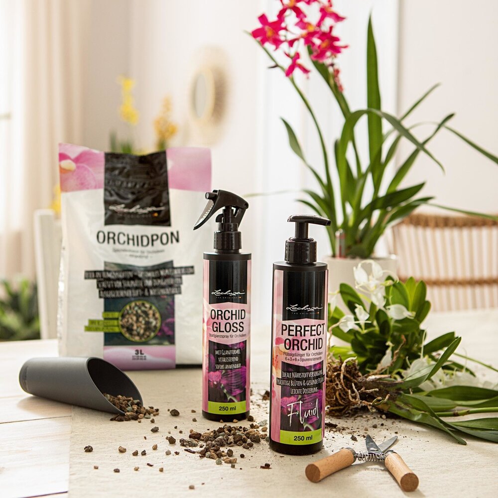 Bladglansspray ORCHID GLOSS