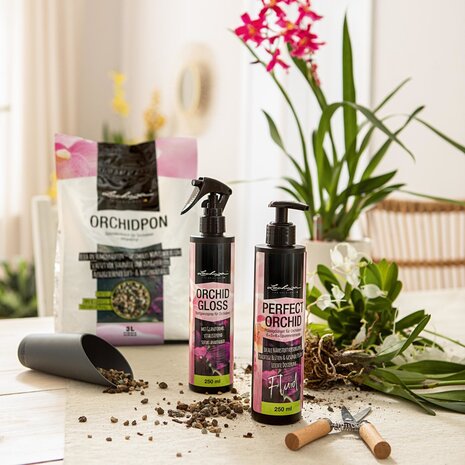 Blattglanzspray ORCHID GLOSS