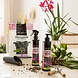 LECHUZA Leaf shine spray ORCHID GLOSS LECHUZA Leaf shine spray ORCHID GLOSS