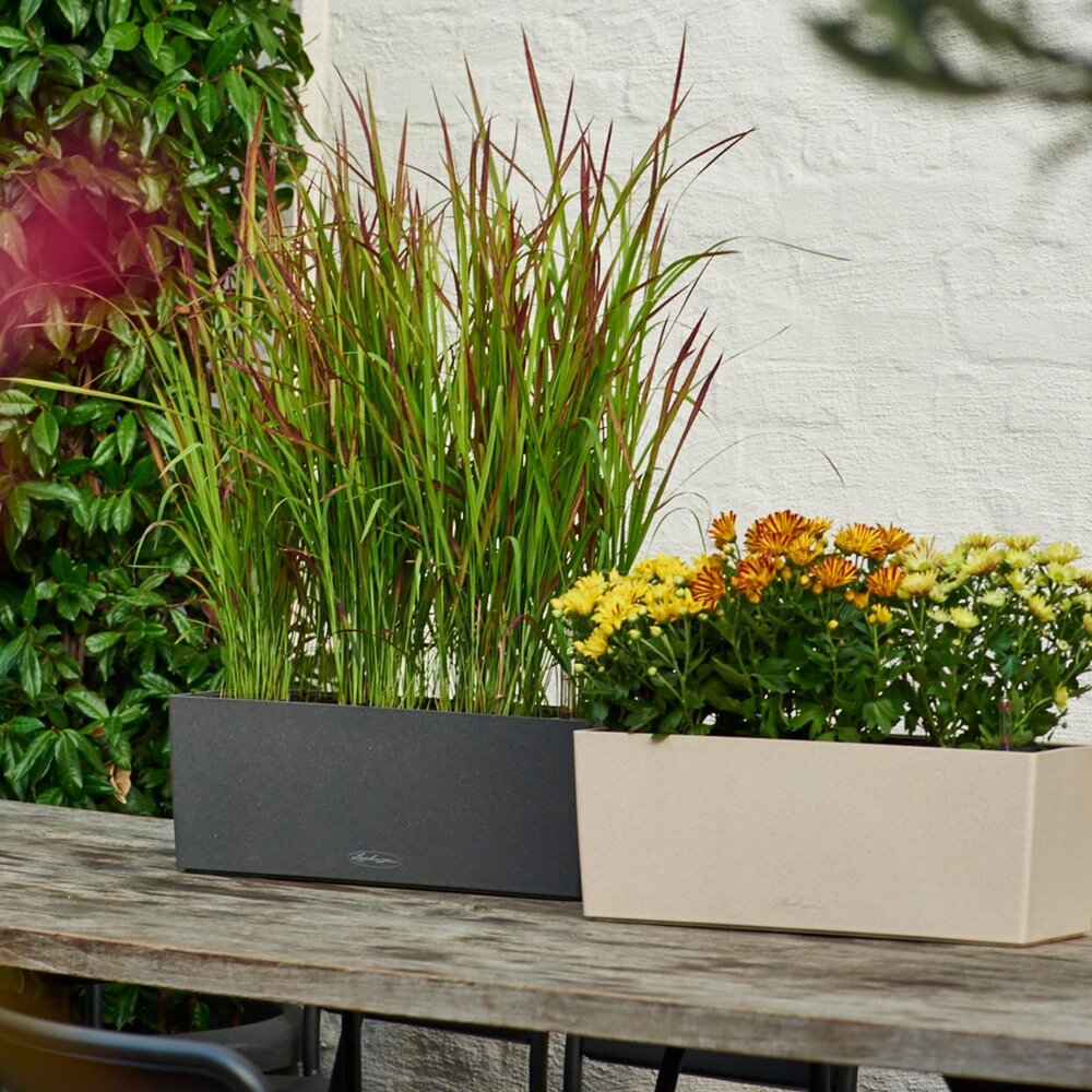 LECHUZA BALCONERA Stone graphite black LECHUZA BALCONERA Stone graphite black