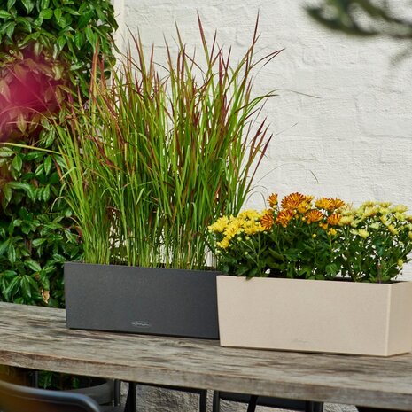 LECHUZA BALCONERA Stone noir graphite LECHUZA BALCONERA Stone noir graphite