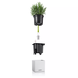 6x set watering stick (contents: 6 pcs) 6x set watering stick (contents: 6 pcs)