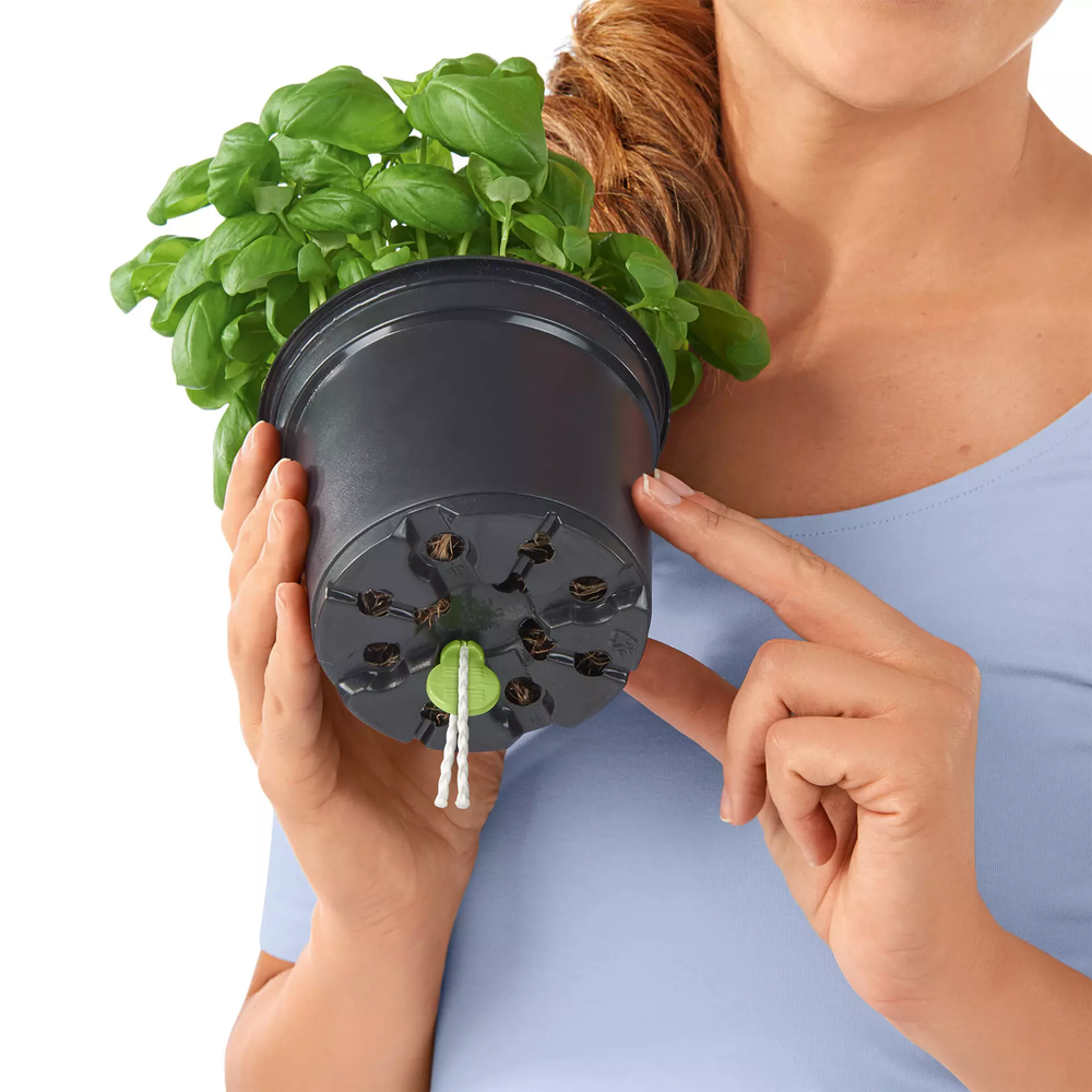 6x set watering stick (contents: 6 pcs) 6x set watering stick (contents: 6 pcs)