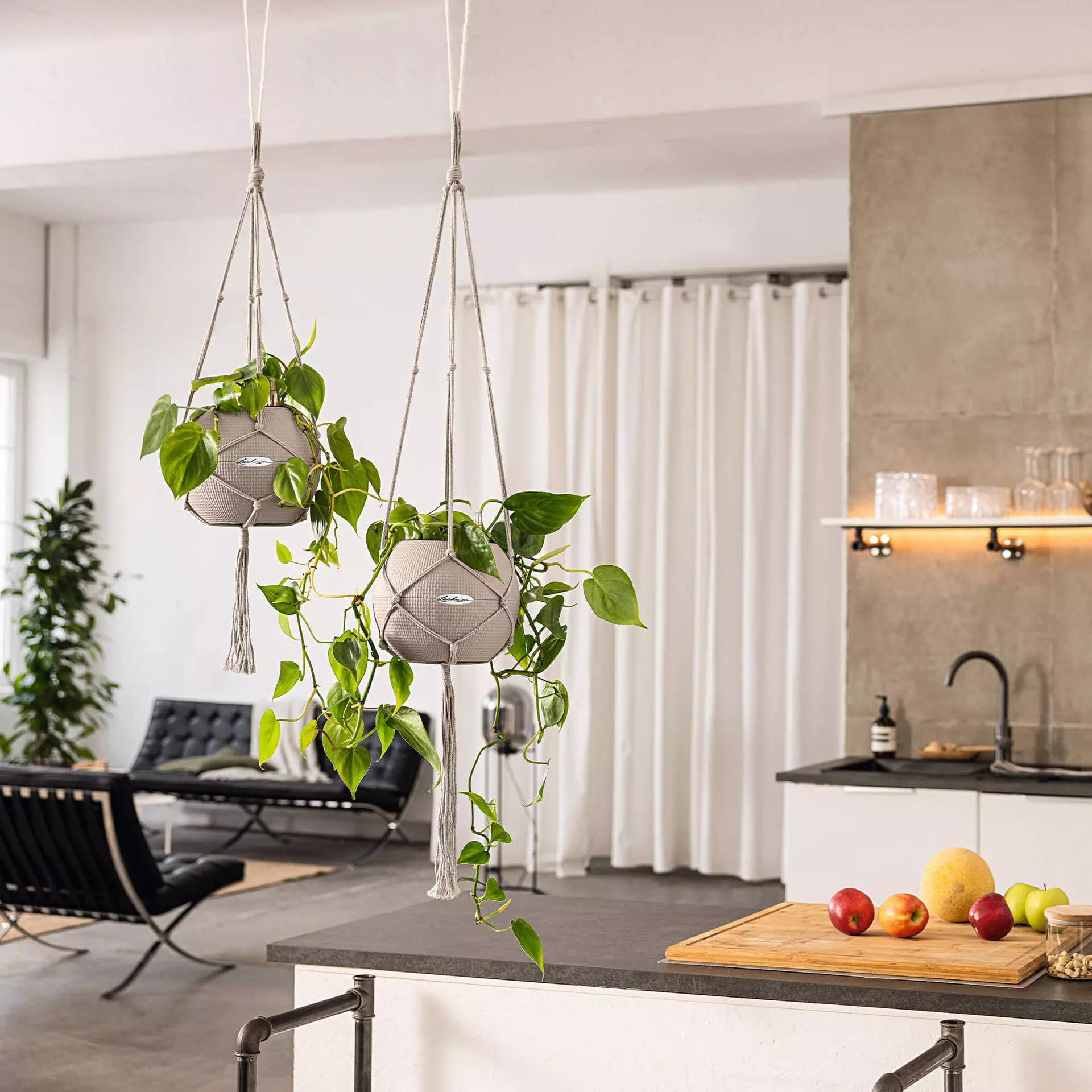 Planten mooi uit laten komen