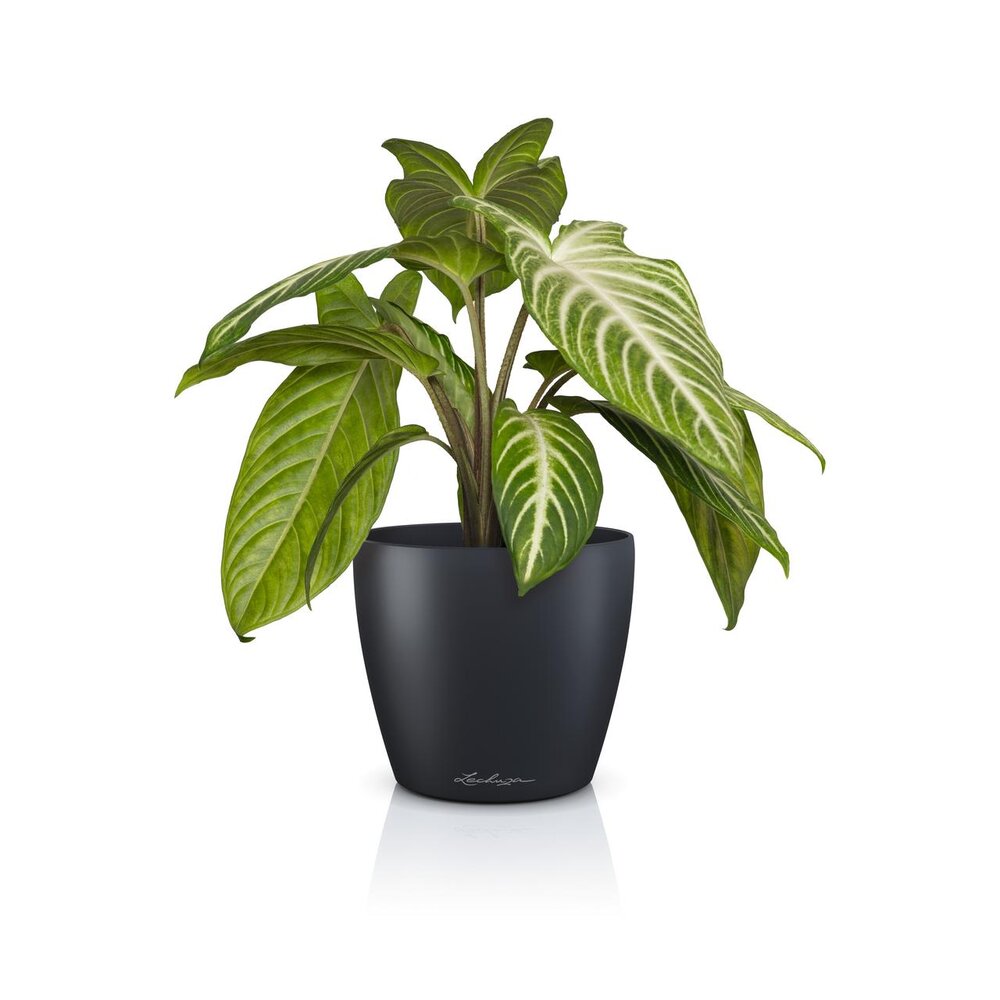 LECHUZA CLASSICO Color DECO slate grey LECHUZA CLASSICO Color DECO slate grey