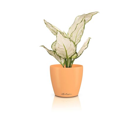 LECHUZA CLASSICO Color DEKO Papaya