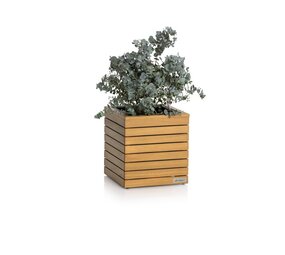 PALO Natural Wood bois à faible teneur en eucalyptus PALO Natural Wood bois à faible teneur en eucalyptus