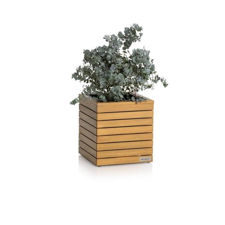 LECHUZA PALO Natural Wood low Eukalyptusholz