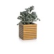 LECHUZA PALO Natural Wood low eucalyptushout LECHUZA PALO Natural Wood low eucalyptushout