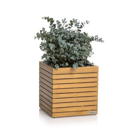 LECHUZA PALO Natural Wood low Eukalyptusholz
