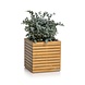 LECHUZA PALO Natural Wood low eucalyptushout LECHUZA PALO Natural Wood low eucalyptushout