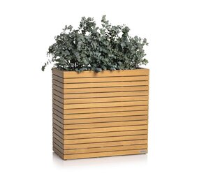 PALO Natural Wood wide high eucalyptushout