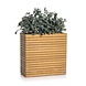 LECHUZA PALO Natural Wood wide high eucalyptus wood LECHUZA PALO Natural Wood wide high eucalyptus wood