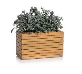 PALO Natural Wood wide low Eukalyptusholz