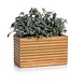 LECHUZA PALO Bois Naturel large bas bois d’eucalyptus LECHUZA PALO Bois Naturel large bas bois d’eucalyptus