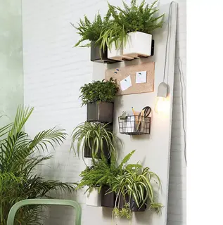 LECHUZA WANDPLANTENBAKKEN met magnetische muurbevestiging