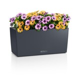 BALCONERA Color gris ardoise - Jardinière - avec bac intérieur amovible - avec système d'irrigation - Ensemble TOUT-EN-UN avec LECHUZA-PON BALCONERA Color gris ardoise - Jardinière - avec bac intérieur amovible - avec système d'irrigation - Ensemble TOUT-EN-UN avec LECHUZA-PON
