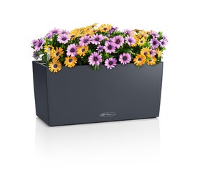 BALCONERA Color leisteengrijs - Plantenbak - met uitneembare binnenbak - met bewateringssysteem - ALL-IN-ONE set met LECHUZA-PON