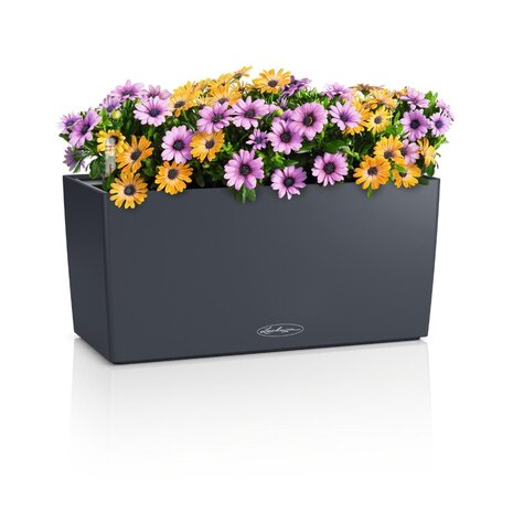 LECHUZA BALCONERA Color 40|50|80|100 gris ardoise- Jardinière - avec bac intérieur amovible - avec système d'irrigation - Ensemble TOUT-EN-UN avec LECHUZA-PON