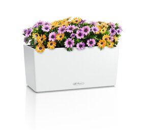 BALCONERA Color white BALCONERA Color white