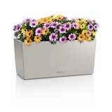 BALCONERA Color sand brown