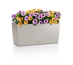 BALCONERA Color sandbraun BALCONERA Color sandbraun