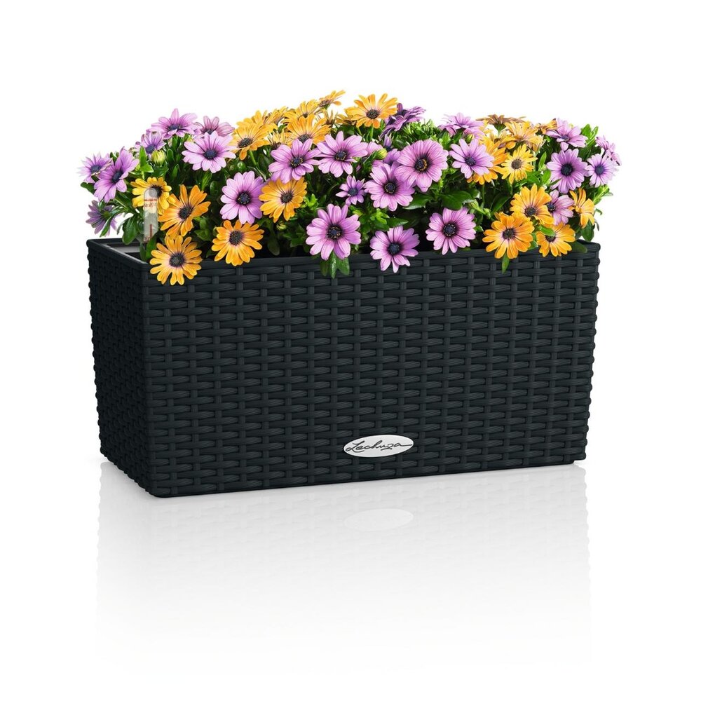 LECHUZA BALCONERA Cottage graphitschwarz