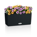 BALCONERA Cottage graphitschwarz