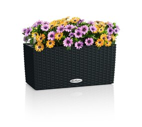 BALCONERA Cottage graphitschwarz BALCONERA Cottage graphitschwarz