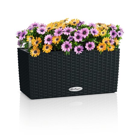 LECHUZA BALCONERA Cottage graphitschwarz