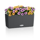 BALCONERA Cottage granite